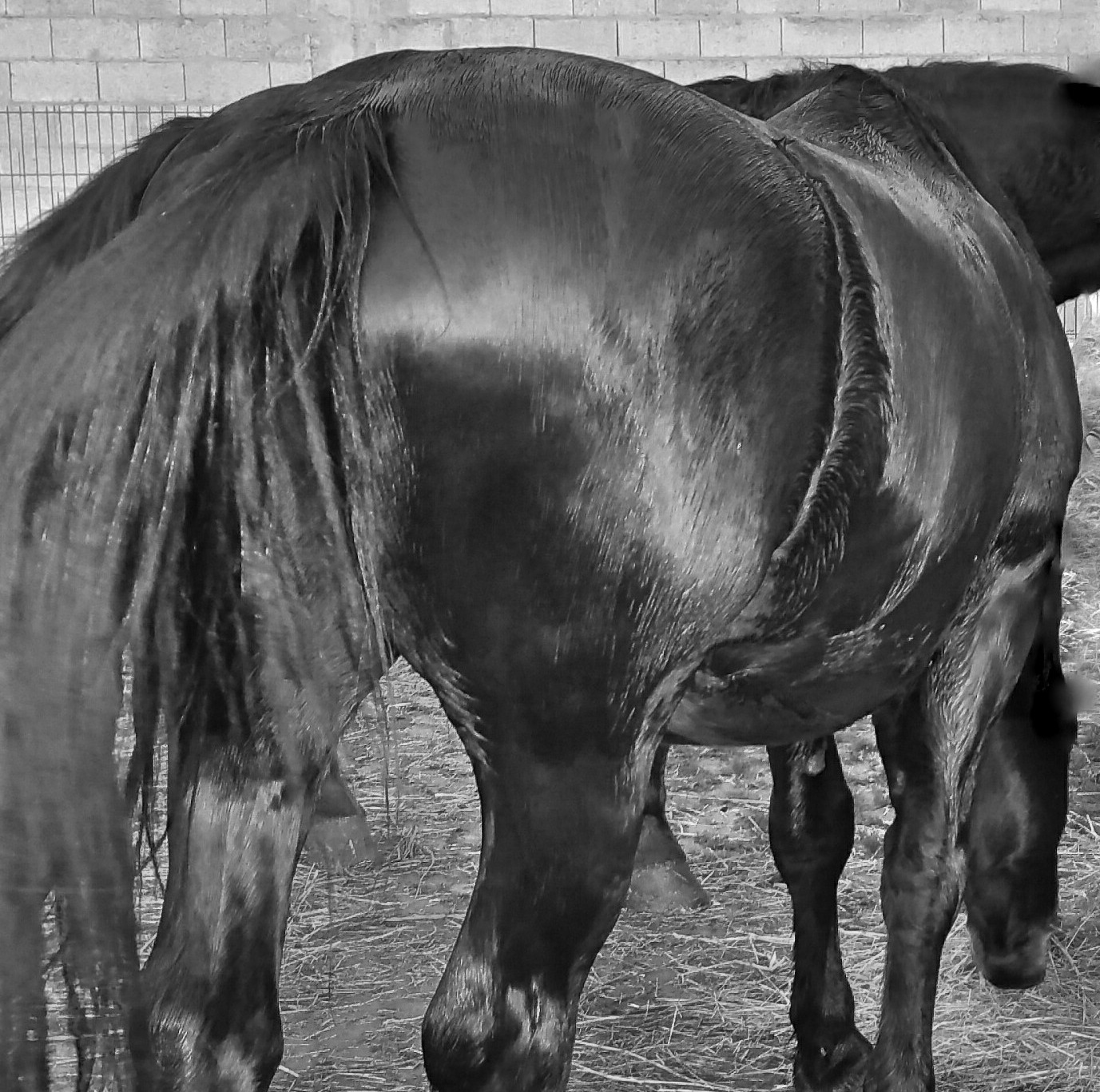 Welche Seite zeigt Ihnen
Ihr Mitarbeiter?