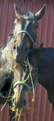 Interesse ? 
Ihre Fragen beantworte ich vertraulich.